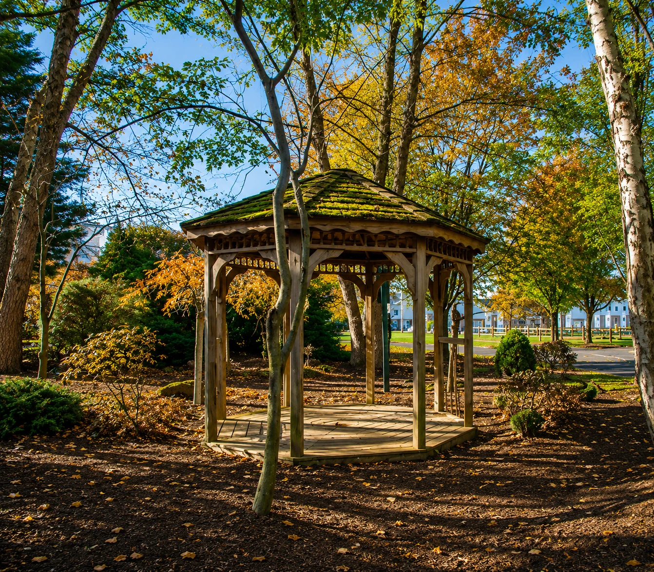 Lexington Commons gallery photo 1 — placeholder, swap for real photography
